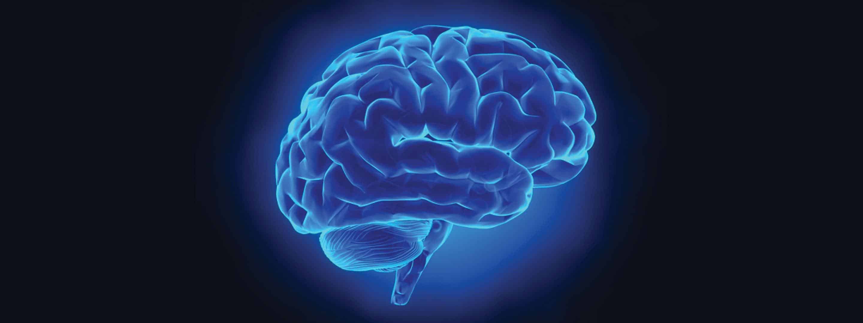 Brain h. Синий мозг. Неоновый мозг. Красивый мозг.