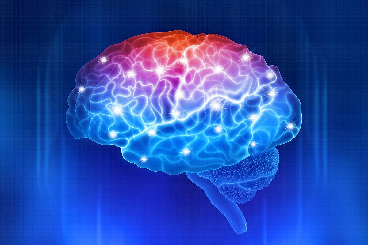 Human Brain On A Blue Background. Active Parts Of The Brain. Dig